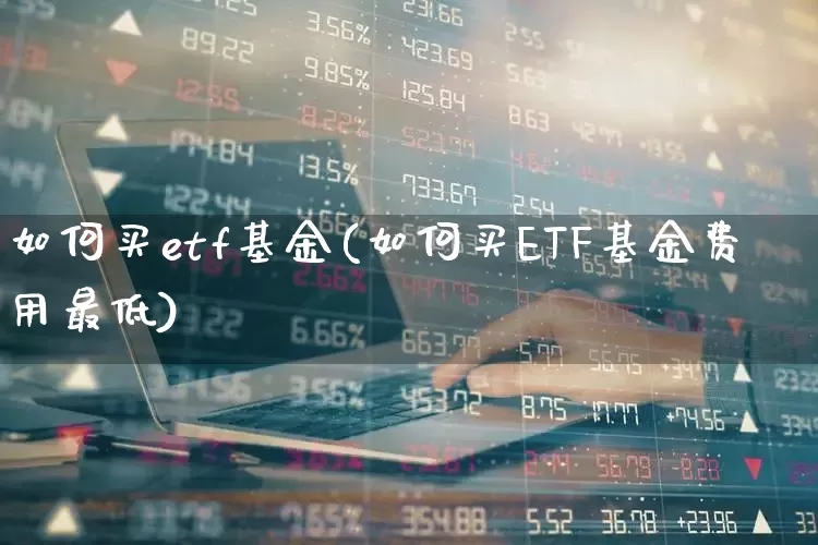 如何买etf基金(如何买ETF基金费用最低)_https://www.fzdzcxj.com_上交所_第1张