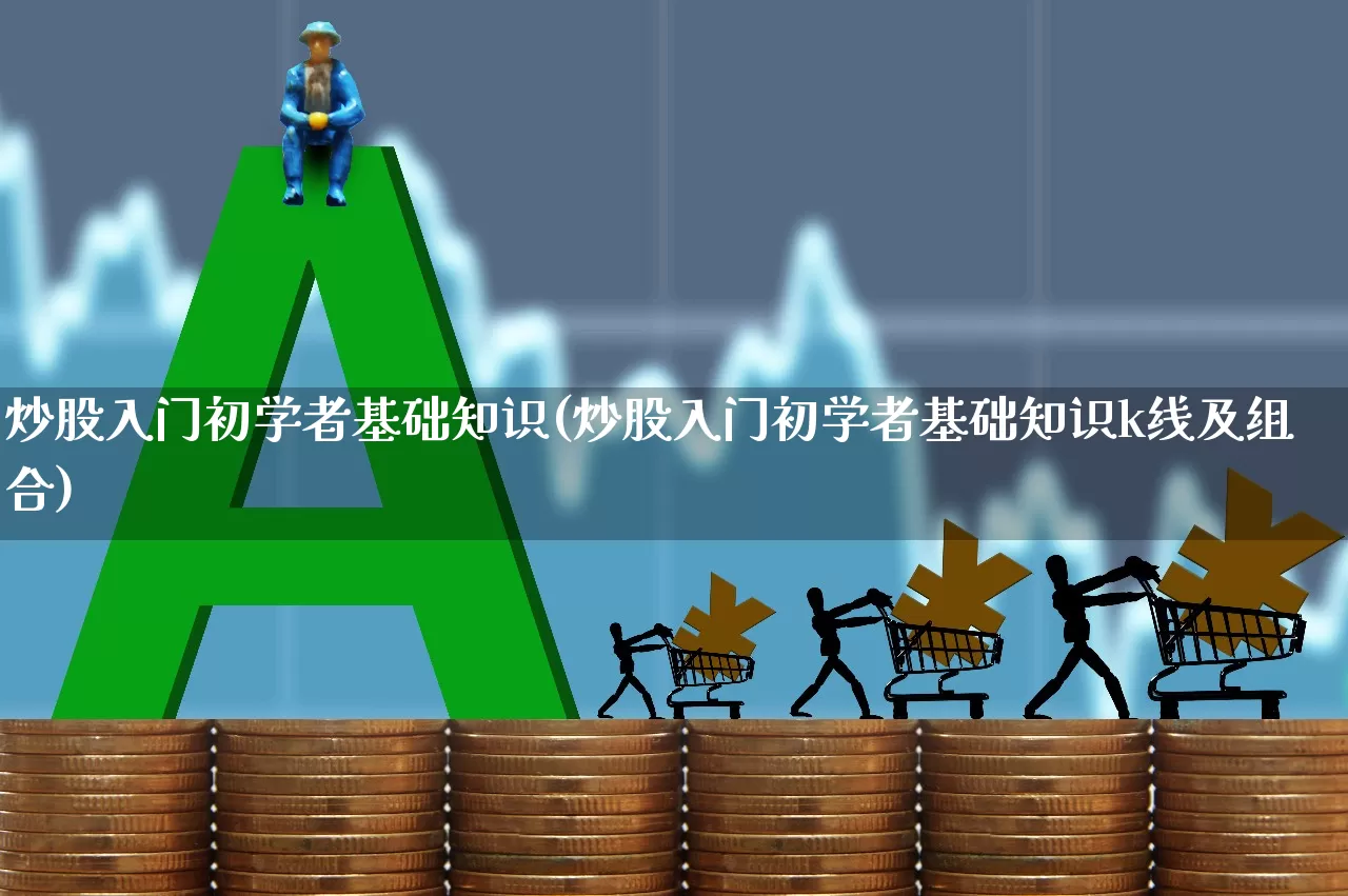 炒股入门初学者基础知识(炒股入门初学者基础知识k线及组合)_https://www.fzdzcxj.com_上交所_第1张