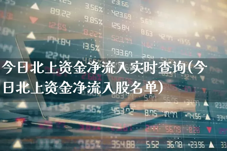 今日北上资金净流入实时查询(今日北上资金净流入股名单)_https://www.fzdzcxj.com_北交所_第1张