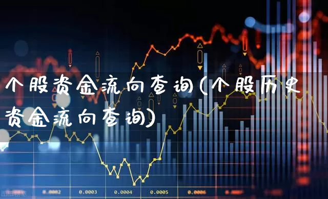 个股资金流向查询(个股历史资金流向查询)_https://www.fzdzcxj.com_深交所_第1张