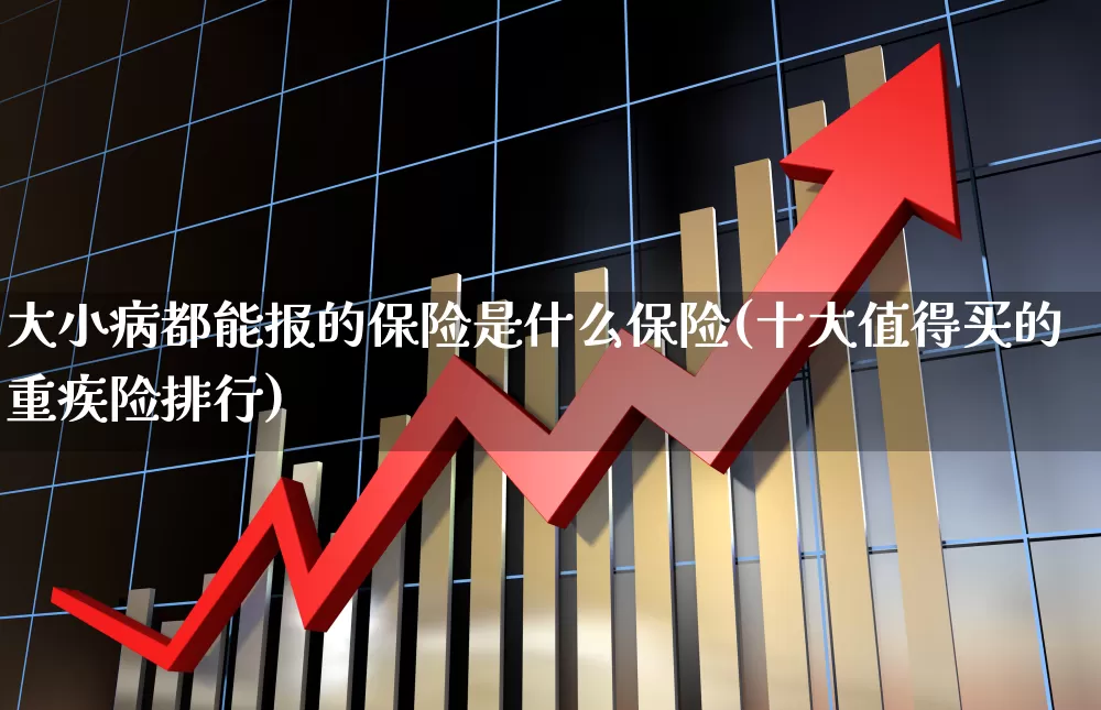 大小病都能报的保险是什么保险(十大值得买的重疾险排行)_https://www.fzdzcxj.com_上交所_第1张