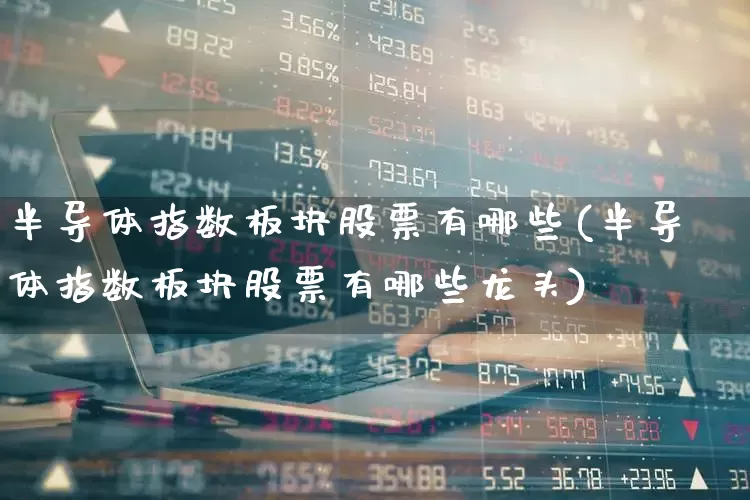 半导体指数板块股票有哪些(半导体指数板块股票有哪些龙头)_https://www.fzdzcxj.com_上交所_第1张