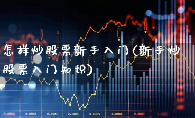 怎样炒股票新手入门(新手炒股票入门知识)_https://www.fzdzcxj.com_创业板_第1张