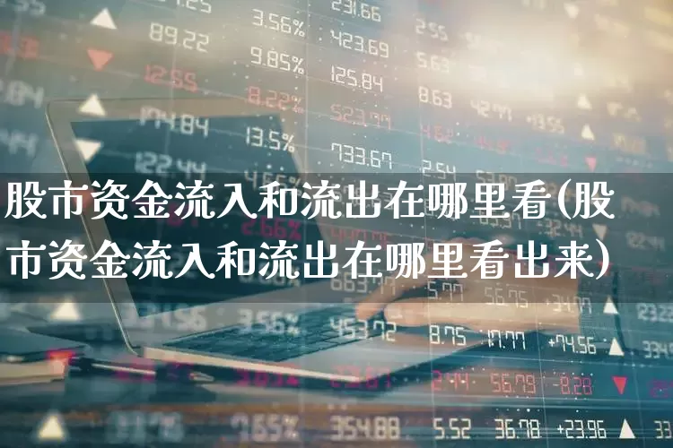 股市资金流入和流出在哪里看(股市资金流入和流出在哪里看出来)_https://www.fzdzcxj.com_创业板_第1张