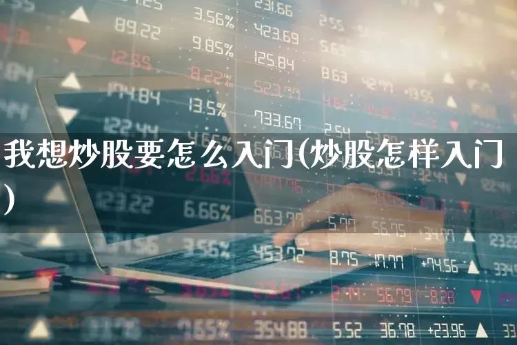 我想炒股要怎么入门(炒股怎样入门)_https://www.fzdzcxj.com_创业板_第1张