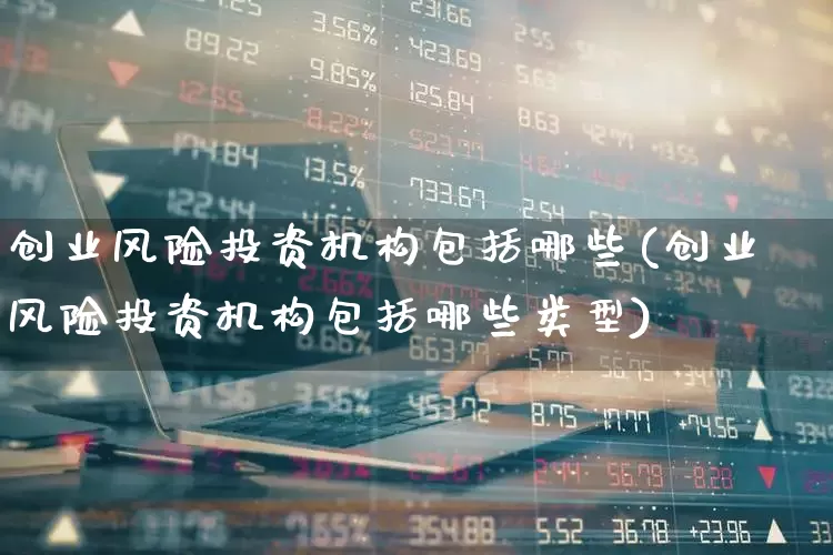 创业风险投资机构包括哪些(创业风险投资机构包括哪些类型)_https://www.fzdzcxj.com_上交所_第1张