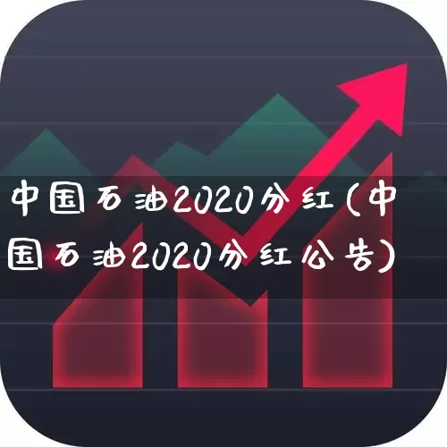 中国石油2020分红(中国石油2020分红公告)_https://www.fzdzcxj.com_科创板_第1张