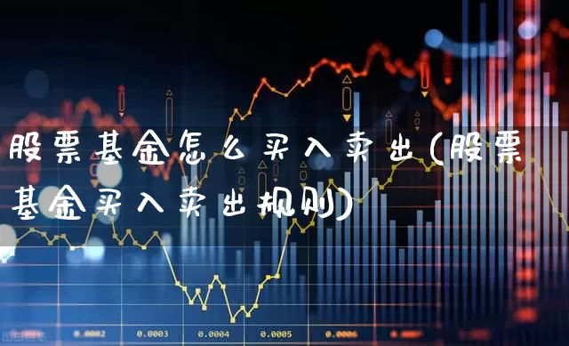股票基金怎么买入卖出(股票基金买入卖出规则)_https://www.fzdzcxj.com_北交所_第1张