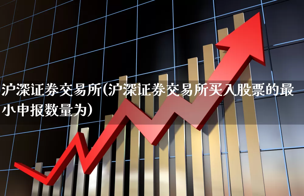 沪深证券交易所(沪深证券交易所买入股票的最小申报数量为)_https://www.fzdzcxj.com_创业板_第1张