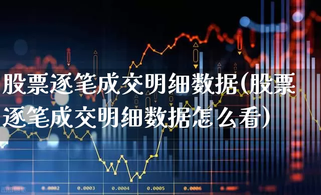 股票逐笔成交明细数据(股票逐笔成交明细数据怎么看)_https://www.fzdzcxj.com_创业板_第1张