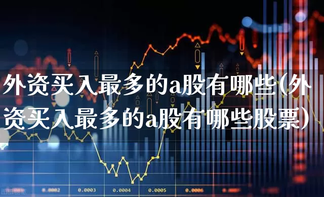 外资买入最多的a股有哪些(外资买入最多的a股有哪些股票)_https://www.fzdzcxj.com_上交所_第1张