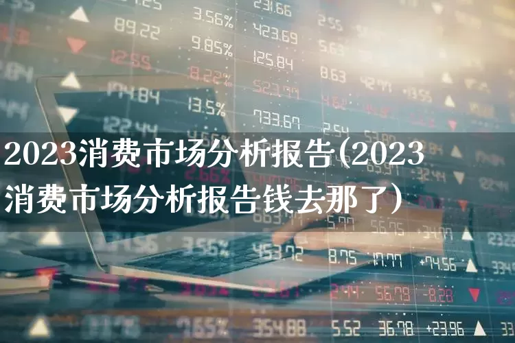 2023消费市场分析报告(2023消费市场分析报告钱去那了)_https://www.fzdzcxj.com_上交所_第1张