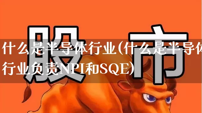 什么是半导体行业(什么是半导体行业负责NPI和SQE)_https://www.fzdzcxj.com_科创板_第1张