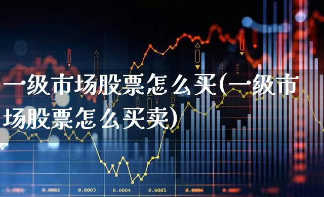 一级市场股票怎么买(一级市场股票怎么买卖)_https://www.fzdzcxj.com_深交所_第1张