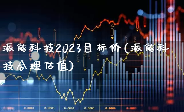 派能科技2023目标价(派能科技合理估值)_https://www.fzdzcxj.com_上交所_第1张