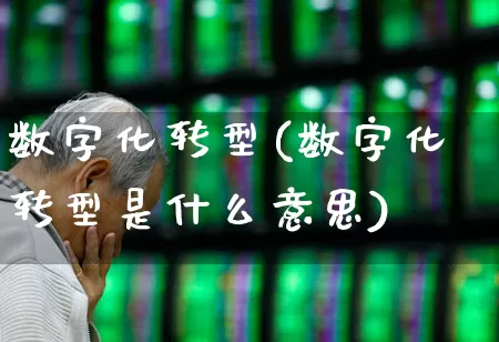 数字化转型(数字化转型是什么意思)_https://www.fzdzcxj.com_北交所_第1张