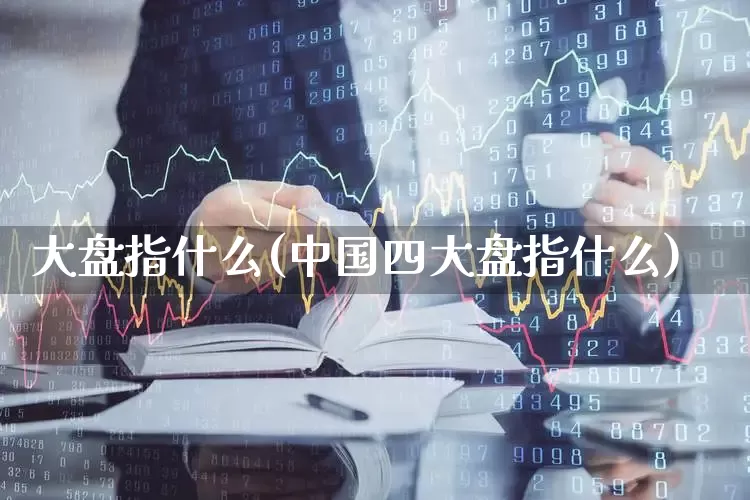 大盘指什么(中国四大盘指什么)_https://www.fzdzcxj.com_上交所_第1张