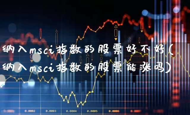 纳入msci指数的股票好不好(纳入msci指数的股票能涨吗)_https://www.fzdzcxj.com_北交所_第1张