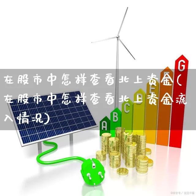 在股市中怎样查看北上资金(在股市中怎样查看北上资金流入情况)_https://www.fzdzcxj.com_创业板_第1张