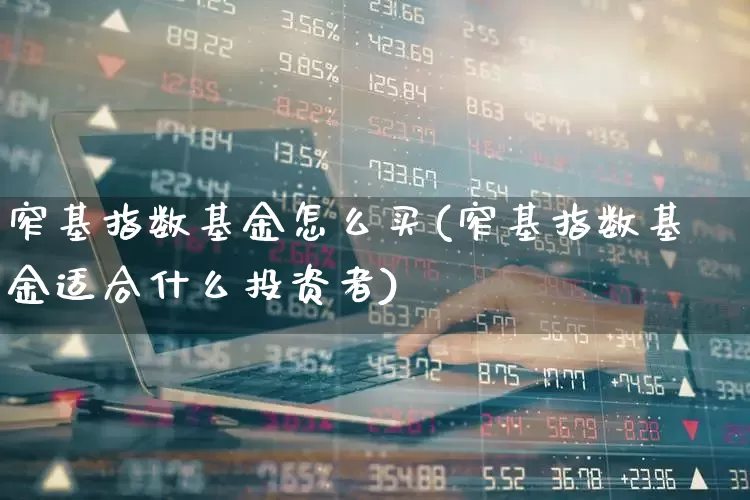 窄基指数基金怎么买(窄基指数基金适合什么投资者)_https://www.fzdzcxj.com_科创板_第1张