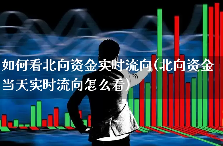 如何看北向资金实时流向(北向资金当天实时流向怎么看)_https://www.fzdzcxj.com_科创板_第1张