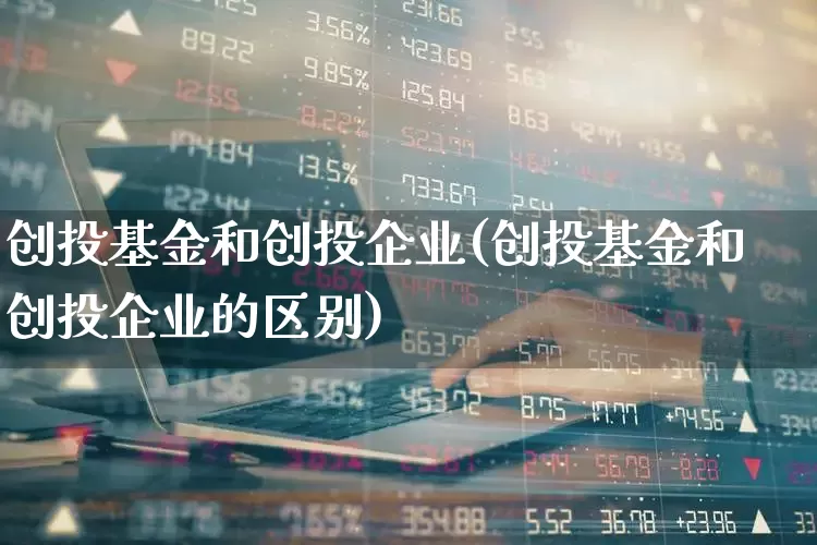 创投基金和创投企业(创投基金和创投企业的区别)_https://www.fzdzcxj.com_上交所_第1张