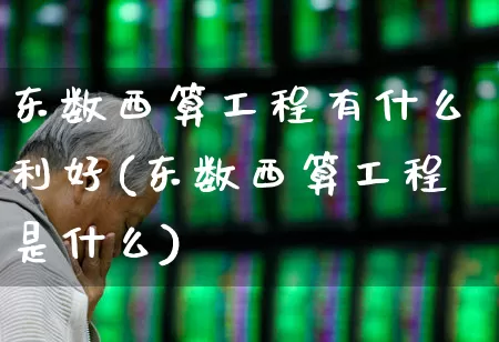 东数西算工程有什么利好(东数西算工程是什么)_https://www.fzdzcxj.com_上交所_第1张