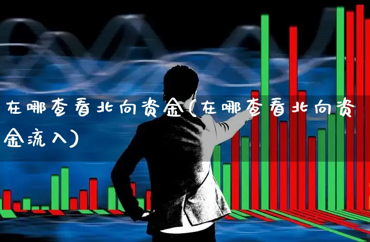 在哪查看北向资金(在哪查看北向资金流入)_https://www.fzdzcxj.com_北交所_第1张