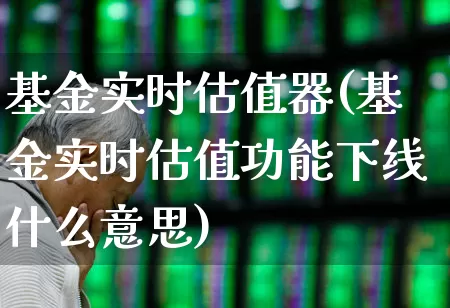 基金实时估值器(基金实时估值功能下线什么意思)_https://www.fzdzcxj.com_创业板_第1张