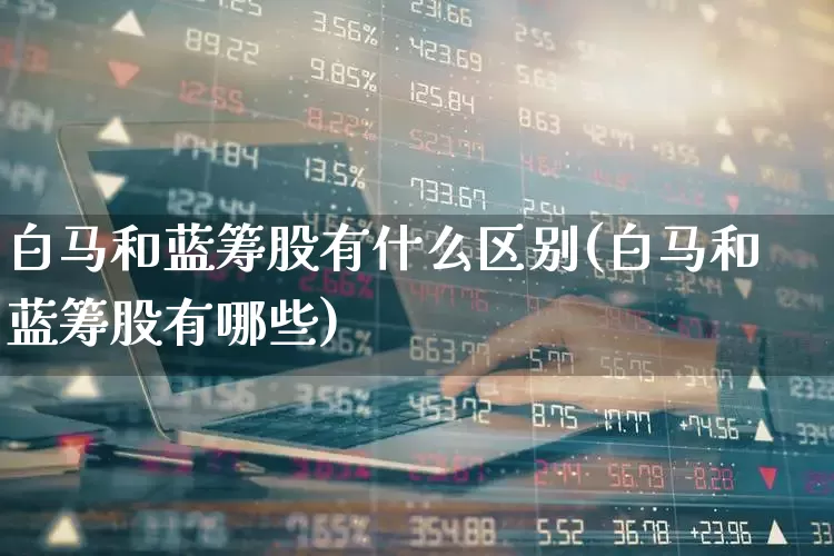 白马和蓝筹股有什么区别(白马和蓝筹股有哪些)_https://www.fzdzcxj.com_北交所_第1张