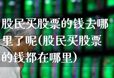 股民买股票的钱去哪里了呢(股民买股票的钱都在哪里)_https://www.fzdzcxj.com_科创板_第1张