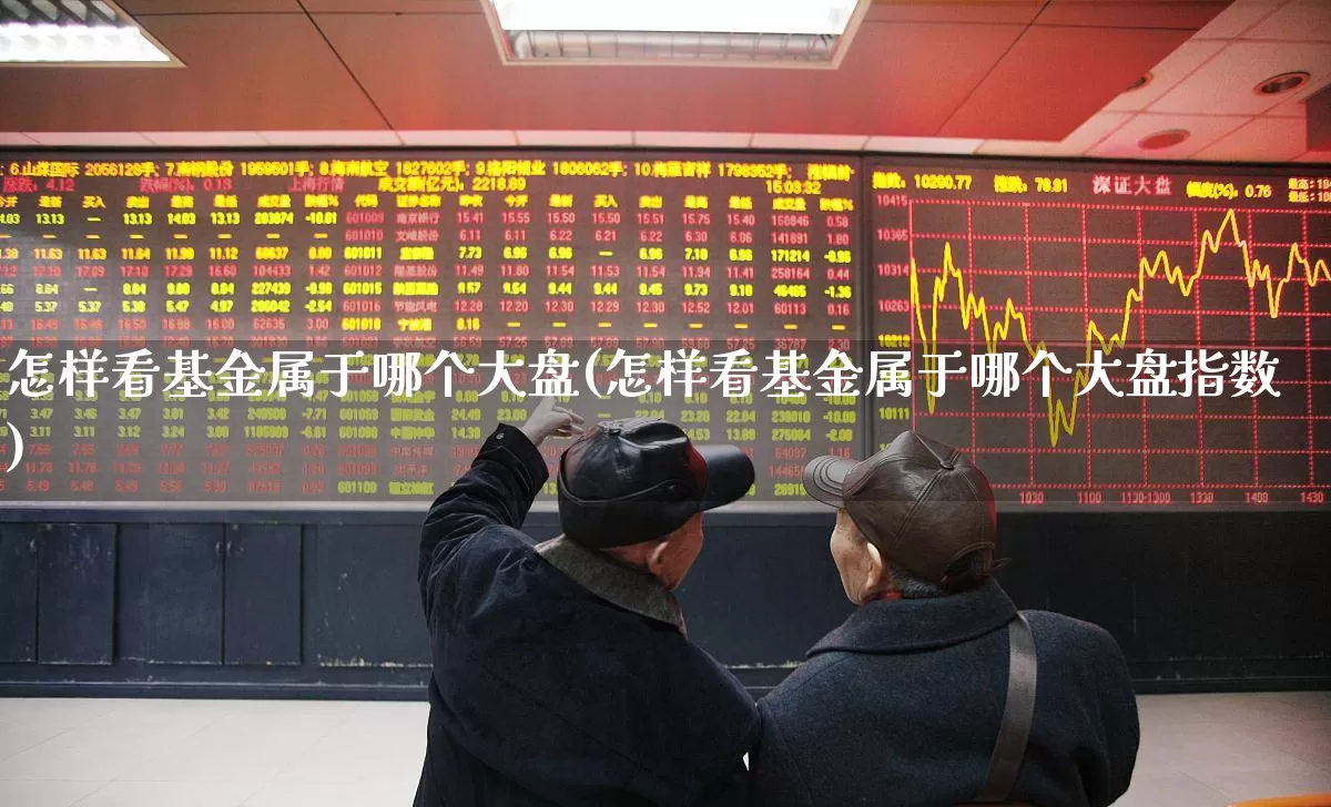 怎样看基金属于哪个大盘(怎样看基金属于哪个大盘指数)_https://www.fzdzcxj.com_上交所_第1张