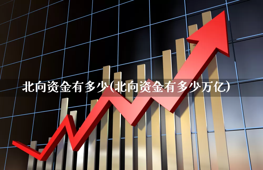 北向资金有多少(北向资金有多少万亿)_https://www.fzdzcxj.com_上交所_第1张