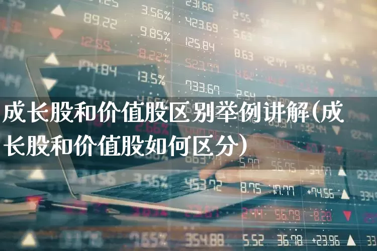 成长股和价值股区别举例讲解(成长股和价值股如何区分)_https://www.fzdzcxj.com_上交所_第1张