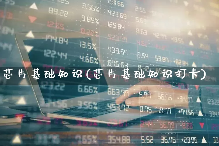 芯片基础知识(芯片基础知识打卡)_https://www.fzdzcxj.com_科创板_第1张