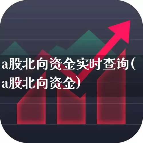a股北向资金实时查询(a股北向资金)_https://www.fzdzcxj.com_科创板_第1张