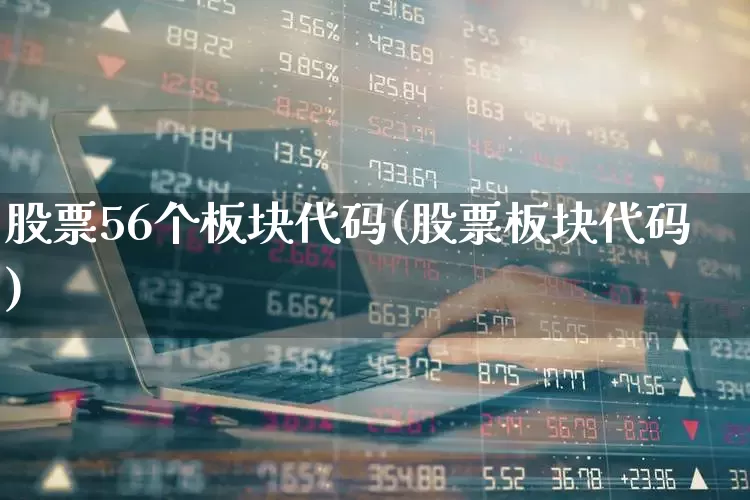 股票56个板块代码(股票板块代码)_https://www.fzdzcxj.com_深交所_第1张