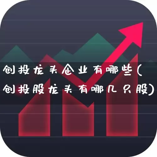 创投龙头企业有哪些(创投股龙头有哪几只股)_https://www.fzdzcxj.com_上交所_第1张