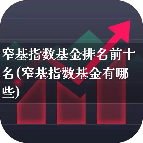 窄基指数基金排名前十名(窄基指数基金有哪些)_https://www.fzdzcxj.com_科创板_第1张