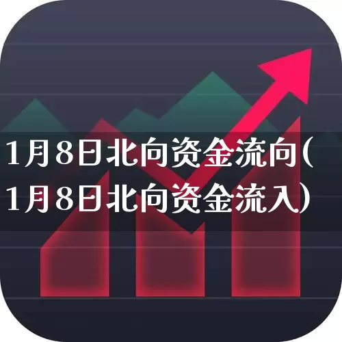 1月8日北向资金流向(1月8日北向资金流入)_https://www.fzdzcxj.com_北交所_第1张
