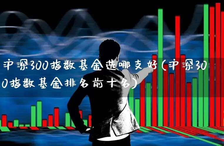 沪深300指数基金选哪支好(沪深300指数基金排名前十名)_https://www.fzdzcxj.com_创业板_第1张