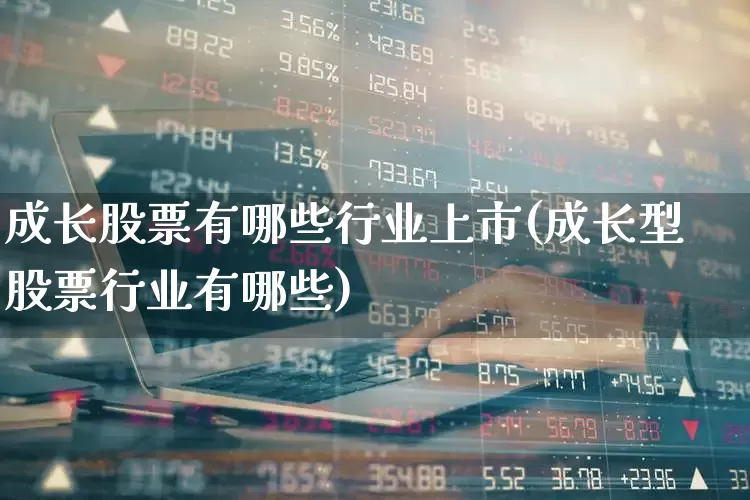 成长股票有哪些行业上市(成长型股票行业有哪些)_https://www.fzdzcxj.com_深交所_第1张