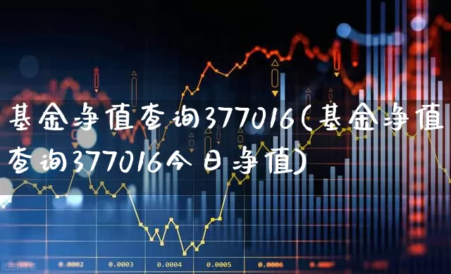 基金净值查询377016(基金净值查询377016今日净值)_https://www.fzdzcxj.com_创业板_第1张
