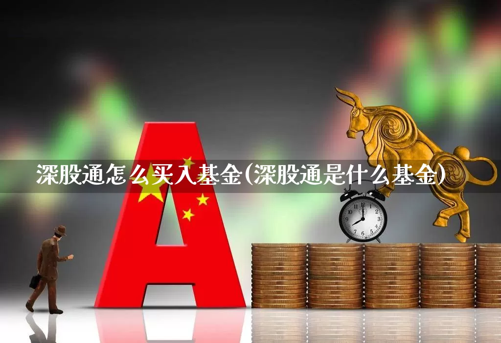 深股通怎么买入基金(深股通是什么基金)_https://www.fzdzcxj.com_上交所_第1张