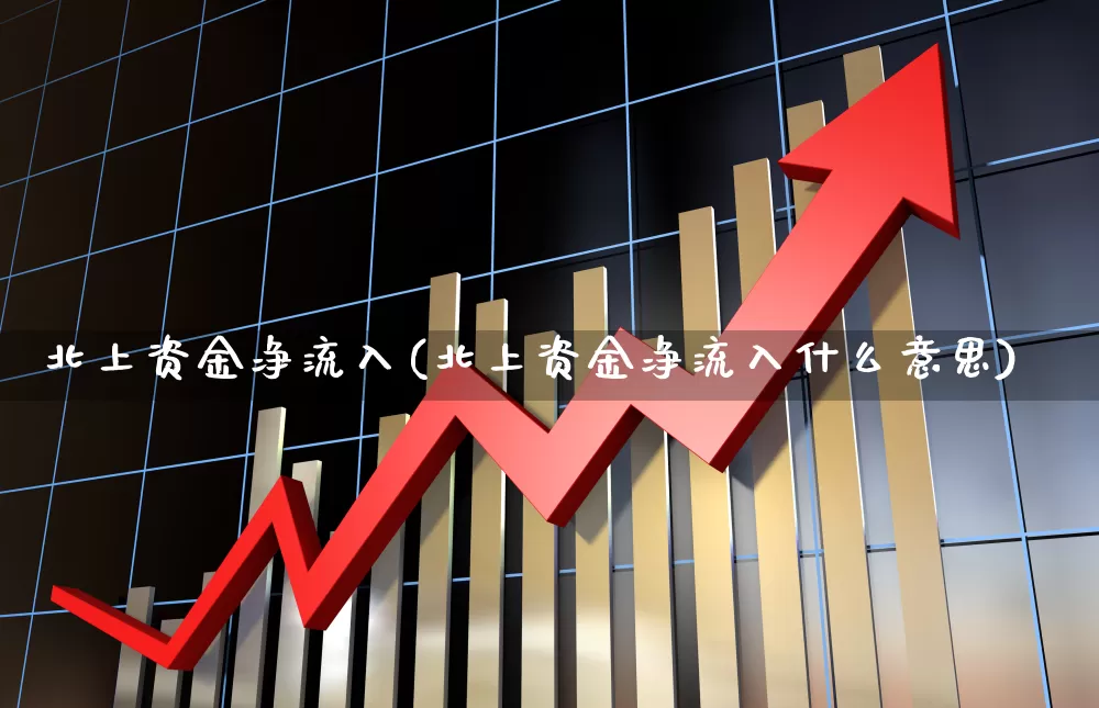 北上资金净流入(北上资金净流入什么意思)_https://www.fzdzcxj.com_上交所_第1张