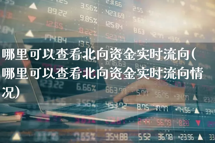 哪里可以查看北向资金实时流向(哪里可以查看北向资金实时流向情况)_https://www.fzdzcxj.com_科创板_第1张