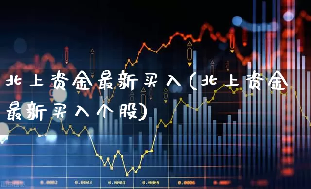 北上资金最新买入(北上资金最新买入个股)_https://www.fzdzcxj.com_上交所_第1张