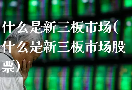 什么是新三板市场(什么是新三板市场股票)_https://www.fzdzcxj.com_北交所_第1张