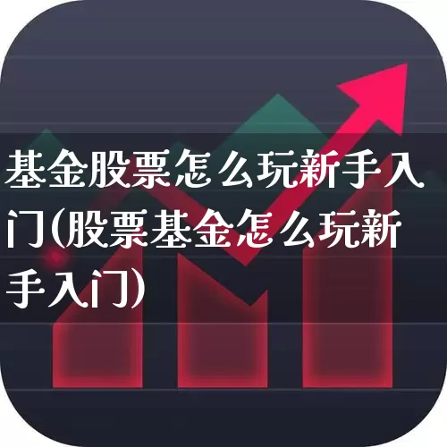 基金股票怎么玩新手入门(股票基金怎么玩新手入门)_https://www.fzdzcxj.com_北交所_第1张