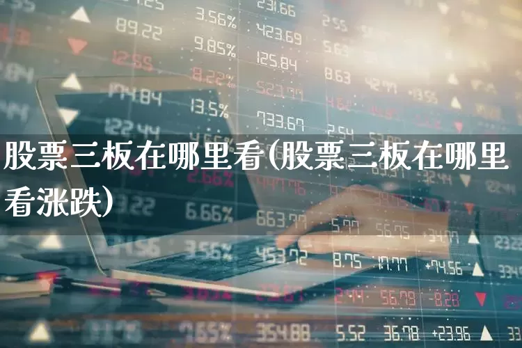 股票三板在哪里看(股票三板在哪里看涨跌)_https://www.fzdzcxj.com_上交所_第1张